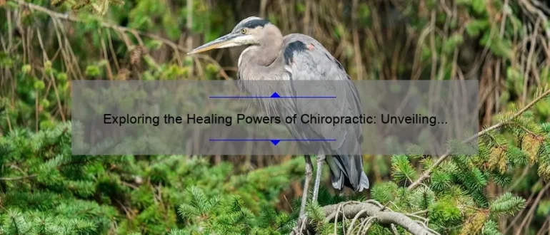 Exploring the Healing Powers of Chiropractic: Unveiling the Excellence of Chiropractic Clinics – Discover Chiropractic Clinic and Delta Chiropractic Clinic