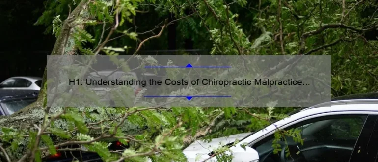 H1: Understanding the Costs of Chiropractic Malpractice Insurance