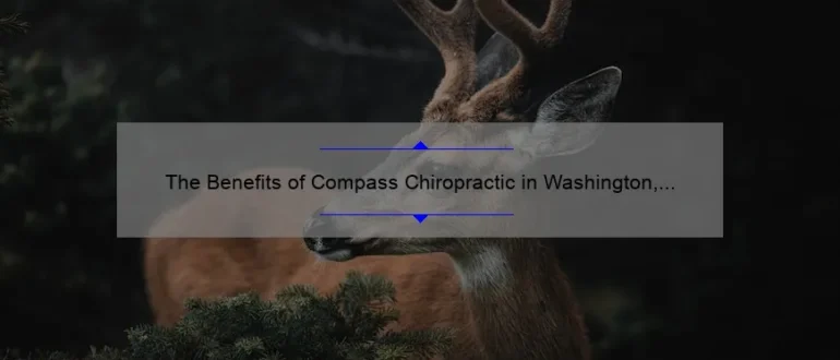 The Benefits of Compass Chiropractic in Washington, D.C.