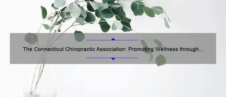 The Connecticut Chiropractic Association: Promoting Wellness through Quality Care