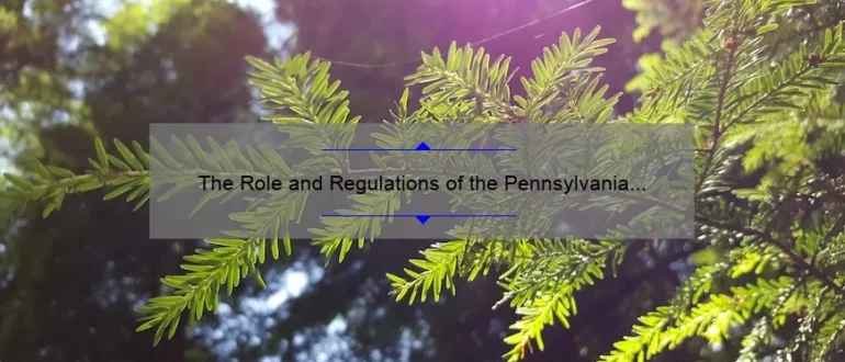 The Role and Regulations of the Pennsylvania State Board of Chiropractic: Ensuring Quality Care and Patient Safety