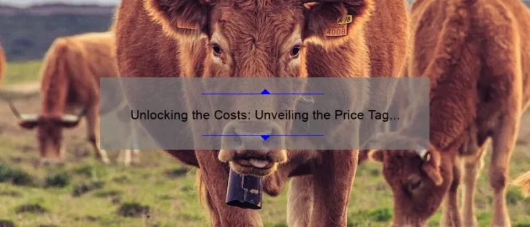 Unlocking the Costs: Unveiling the Price Tag on Chiropractic Visits