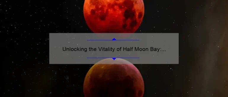 Unlocking the Vitality of Half Moon Bay: The Power of Chiropractic Care